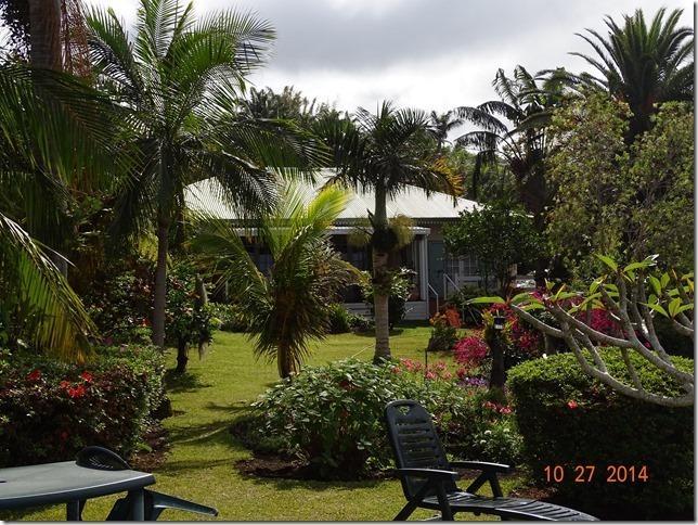 Bed and Breakfast Chez Mamie Les Avirons Exterior foto